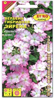 Вербена Эйрена