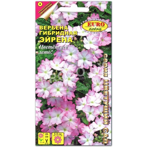 Вербена Эйрена
