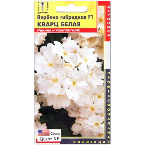 Вербена Кварц белая F1, серия Quartz XP