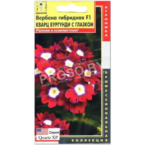 Вербена Кварц бургунди с глазком F1
