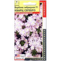 Вербена Кварц серебро F1