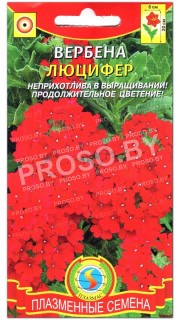 Вербена Люцифер