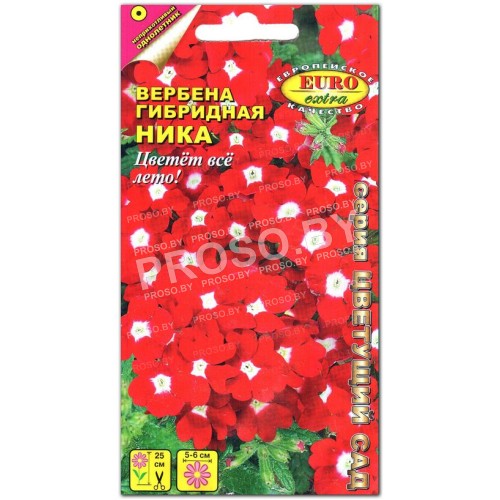 Вербена Ника