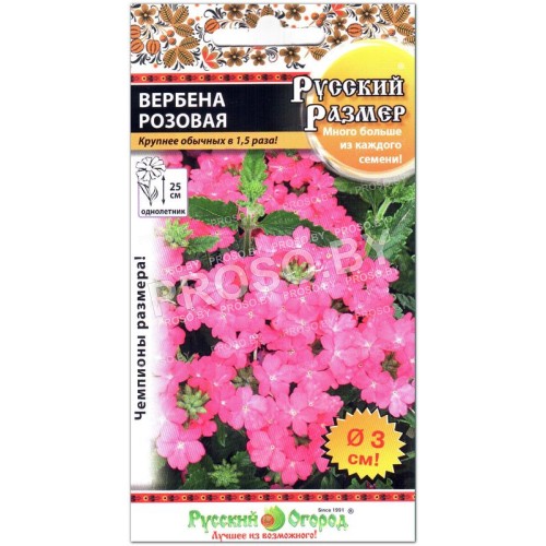 Вербена Розовая, серия Русский размер