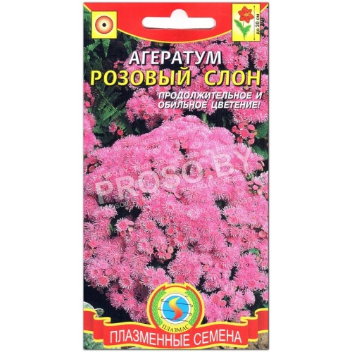 Агератум Розовый слон