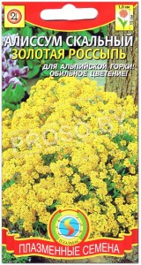 Алиссум скальный Золотая россыпь