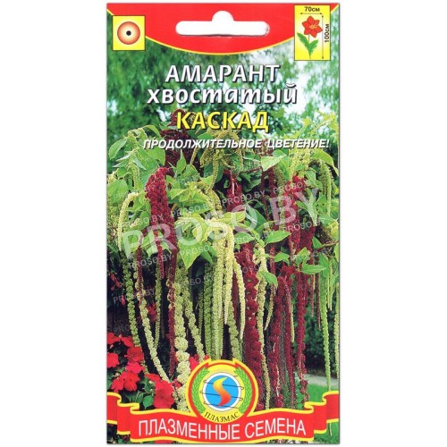 Амарант хвостатый Каскад, смесь-1