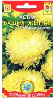 Астра Башня желтая