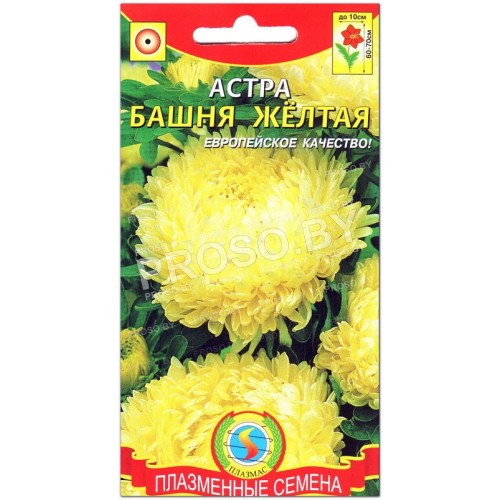 Астра Башня желтая