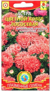 Астра Цветной ковер лососевая