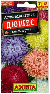Астра Дюшес, смесь