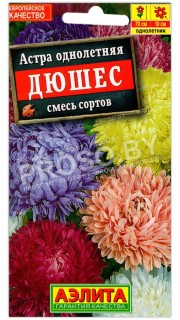 Астра Дюшес, смесь