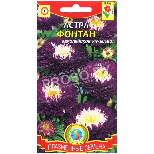Астра Фонтан