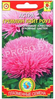 Астра Гремлин лайт роуз