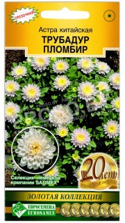 Астра китайская Трубадур пломбир
