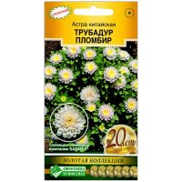 Астра китайская Трубадур пломбир