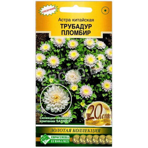 Астра китайская Трубадур пломбир