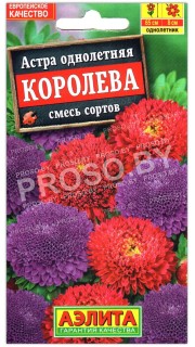 Астра Королева, смесь