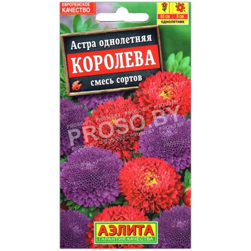 Астра Королева, смесь