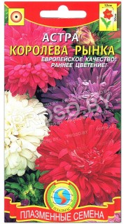 Астра Королева рынка