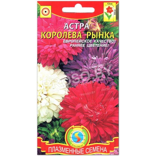 Астра Королева рынка