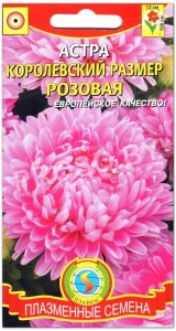 Астра Королевский размер Розовая