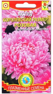 Астра Королевский размер Розовая