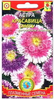 Астра Красавица, смесь