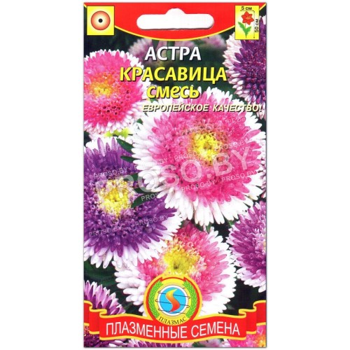 Астра Красавица, смесь