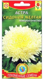 Астра Сидония желтая