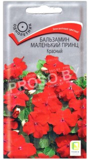 Бальзамин Маленький принц красный