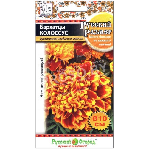 Бархатцы Колоссус, серия Русский размер