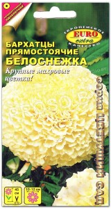 Бархатцы Белоснежка