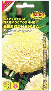 Бархатцы Белоснежка