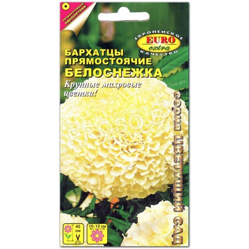 Бархатцы Белоснежка