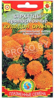 Бархатцы прямостоячие Купидон оранж