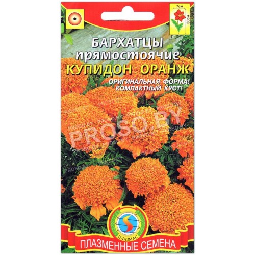 Бархатцы прямостоячие Купидон оранж