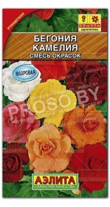 Бегония Камелия, смесь