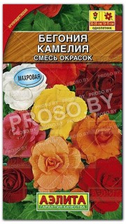 Бегония Камелия, смесь