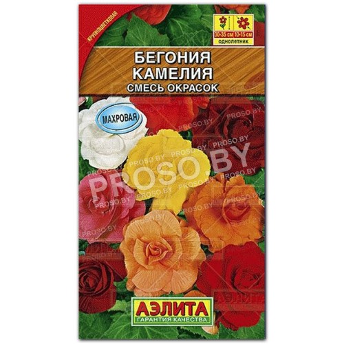 Бегония Камелия, смесь