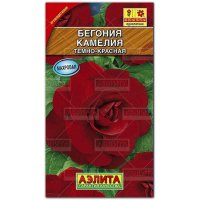 Бегония Камелия темно-красная