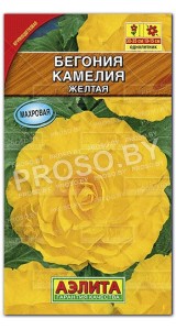 Бегония Камелия желтая