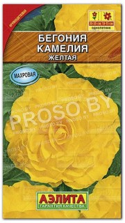 Бегония Камелия желтая