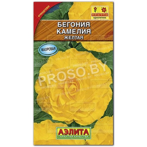 Бегония Камелия желтая