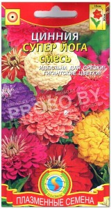 Цинния Супер йога, смесь
