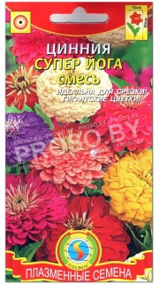 Цинния Супер йога, смесь