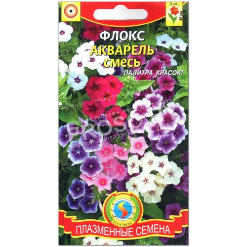 Флокс Акварель, смесь-1