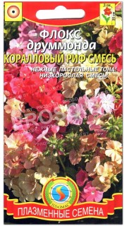 Флокс друммонда Коралловый риф, смесь
