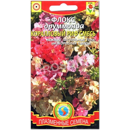 Флокс друммонда Коралловый риф, смесь