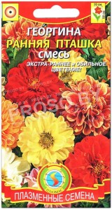 Георгина Ранняя пташка, смесь